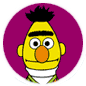 Bert