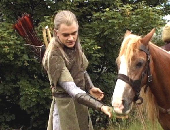 Legolas_and_Bill.jpg.171acd099aa731e635a16e3c0e6a5c8b.jpg