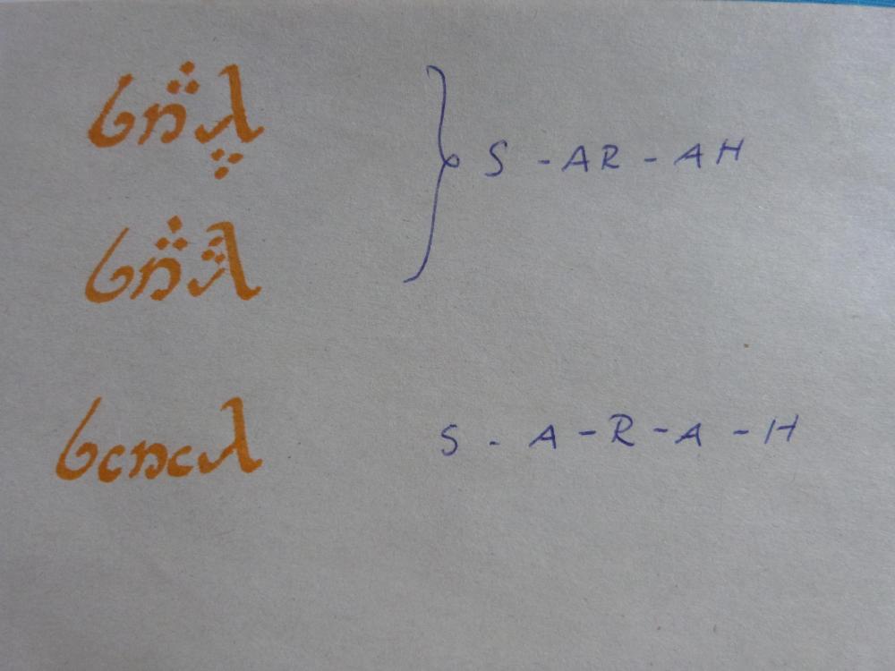P1090466.JPG