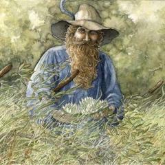 Tom bom bombadil