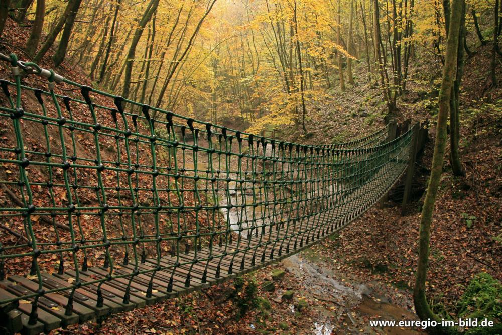 h-ngebr-cke-im-butzerbachtal-s-deifel.jpg