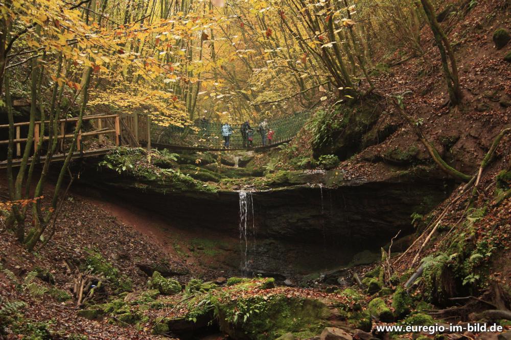 wasserfall-und-h-ngebr-cke-im-butzerbachtal-s-deifel-1.jpg