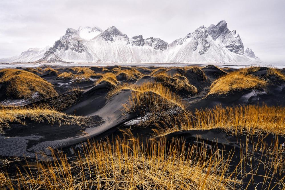 GOLD©Ivan+Pedretti_Difference.jpeg
