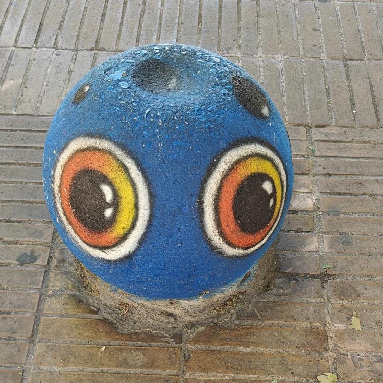 IMG20240511104946.jpg